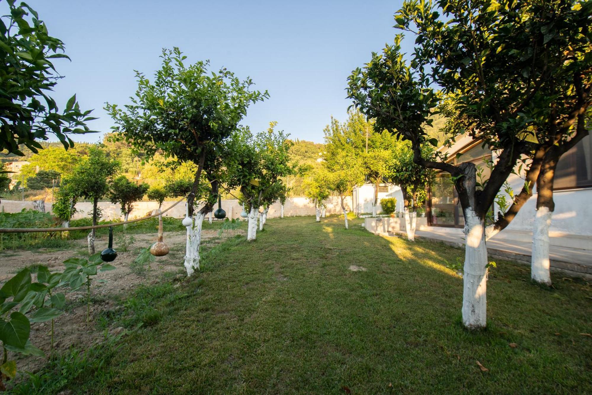 Villa To Ktimataki à Agios Gordios  Extérieur photo